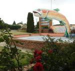 Big Trout Motel - Suburb Australia