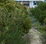 Polperro a quintessential seaside experience - Suburb Australia