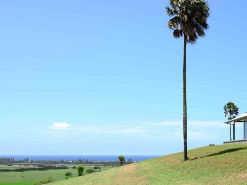 Rose Valley NSW Suburb Australia