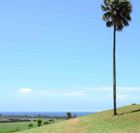 ROSE VALLEY Gerringong 4pm check out Sundays - Suburb Australia