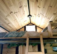 Big Tiny Dale View Tiny House - Suburb Australia