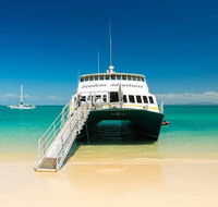 Freedom Fast Cats - Suburb Australia