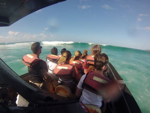 Noosa Thriller - Suburb Australia 1