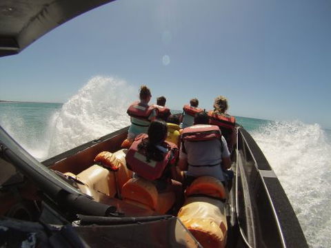 Noosa Thriller - Suburb Australia 2