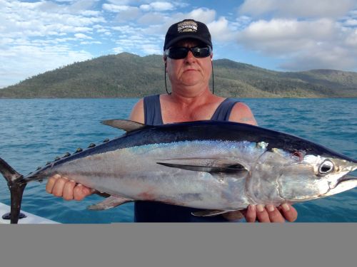 Fishing Trips Charters Airlie Beach QLD Suburb Australia