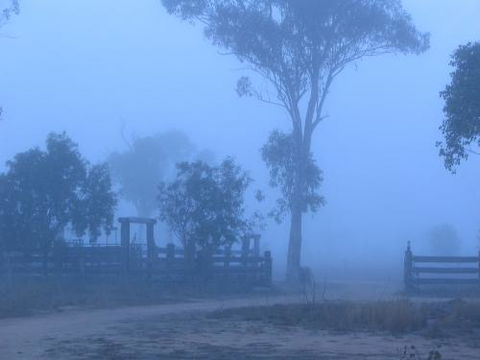 Nebo Rural Services Pty Ltd - Suburb Australia 2