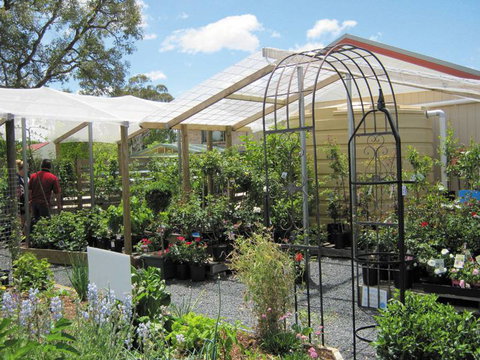 Little Ladybird Plant Nursery - Suburb Australia 1