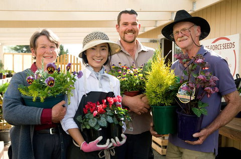 Little Ladybird Plant Nursery - Suburb Australia 2