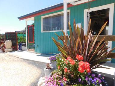 Little Ladybird Plant Nursery - Suburb Australia 4