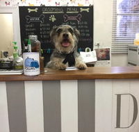 Doggie Barber - Suburb Australia