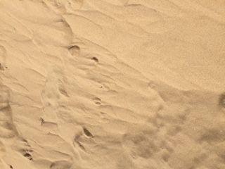 Blue Water Landscape Supplies - Suburb Australia 0