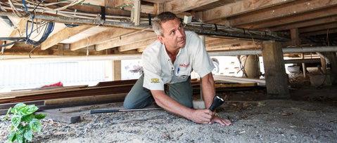 TKO Pest Management - Suburb Australia 2