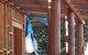 Sarwood Timbers - thumb 3