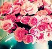 Amor Wedding Stylists  Decorators - Suburb Australia