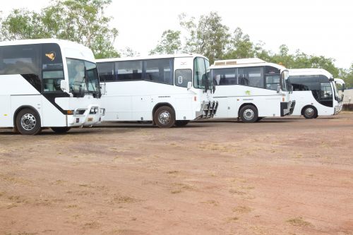Sports Holidays Tours Darwin NT Suburb Australia