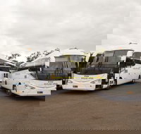 Buslink VIVO - Suburb Australia