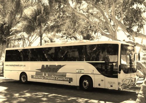 Sports Holidays Tours Mackay QLD Suburb Australia