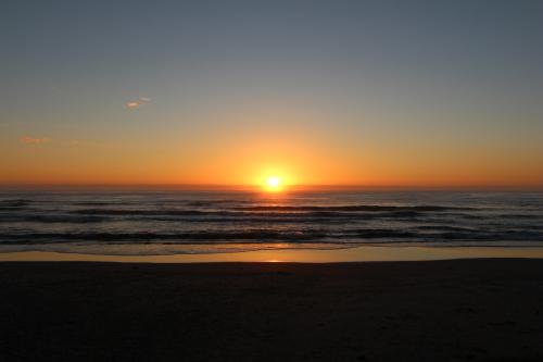 Real Estate Agents North Haven NSW Suburb Australia