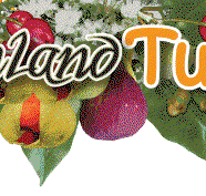 Bushland Tukka Cafe  Catering - Suburb Australia