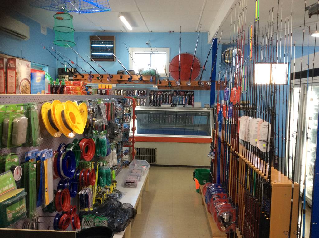Fishing Bait Bellambi NSW Suburb Australia