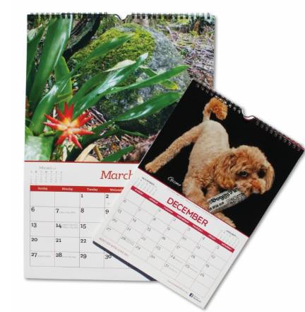 Gainsborough Graphics - Suburb Australia 1