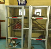 Purrs  Paws Pet ResortNT Agent For Ozpet Transport - Suburb Australia