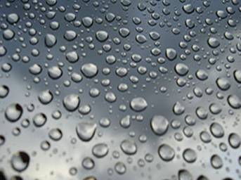 Endrust (Coffs Harbour) - Suburb Australia 2