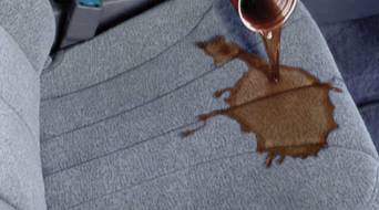 Endrust (Coffs Harbour) - Suburb Australia 3