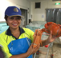 Mackay Fish Market - Suburb Australia