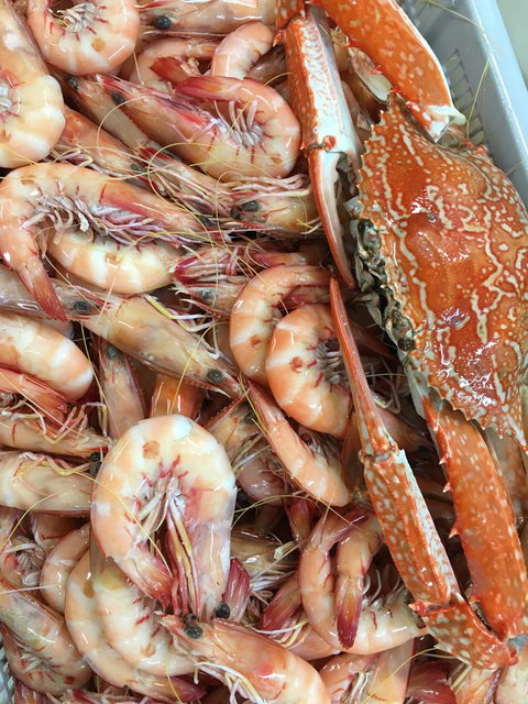 Mackay Fish Market - Suburb Australia 1