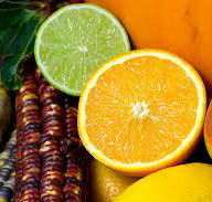 Wild Juice Bars - Suburb Australia