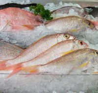 Mooloolaba Fish Market - Suburb Australia