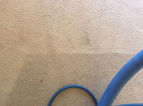 Pure Carpet & Tile Cleaning - Suburb Australia 10