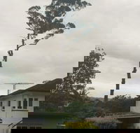 McCords Tree Services  Excavations - Suburb Australia