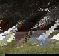 Earth Toys - Suburb Australia