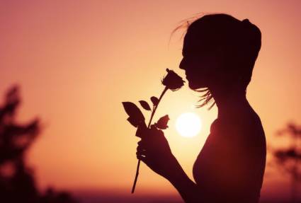 J Kirk & Sons - Suburb Australia 4