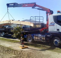 Townsville Carrying Company - Suburb Australia
