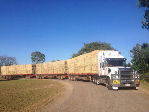 Nighthawk Transport - Suburb Australia 2