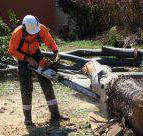 Full Tree Service  Stump Removal - Suburb Australia
