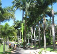 NQ Tree Lopping - Suburb Australia