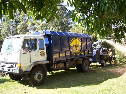 Treesafe Australia - Suburb Australia 0