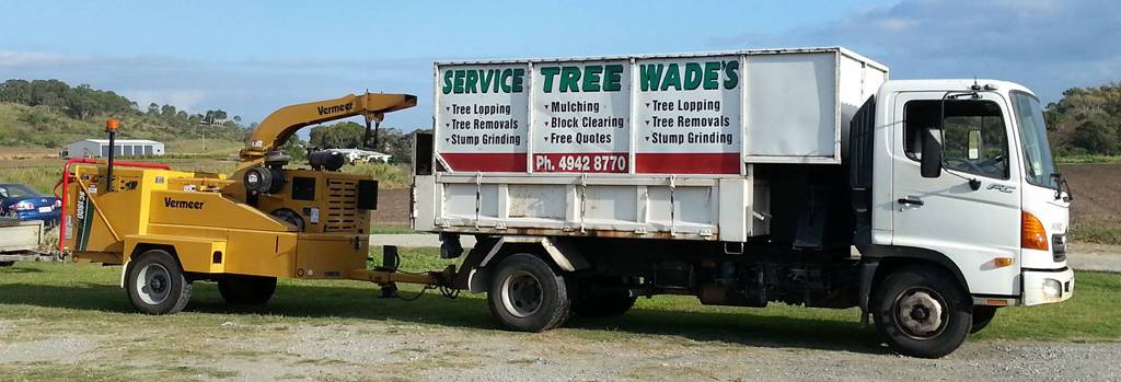 Tree Stump Removal Nindaroo QLD Suburb Australia