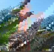 Treespec CQ - Suburb Australia