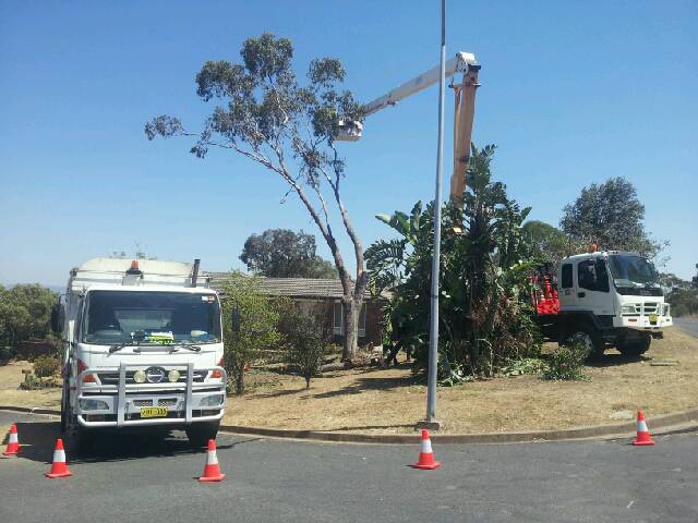 Tree Stump Removal Muswellbrook NSW Suburb Australia