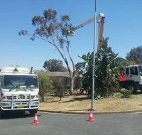 D C Tree Services P/L - Suburb Australia