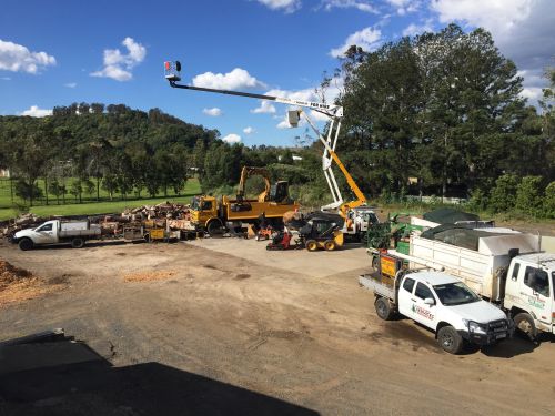 Tree Stump Removal Lismore NSW Suburb Australia