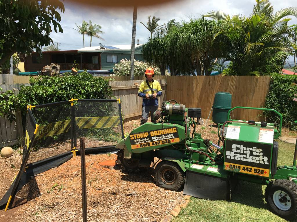 Tree Stump Removal Ballina NSW Suburb Australia
