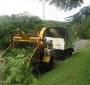 Professional Tree Surgery - Suburb Australia