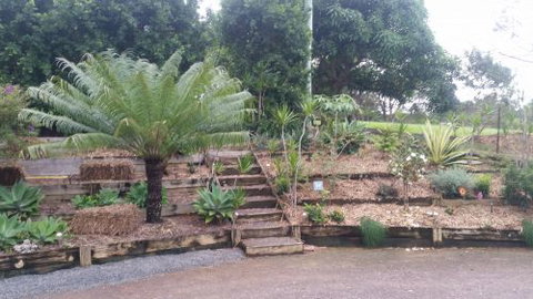 Care Transplanters - Suburb Australia 2