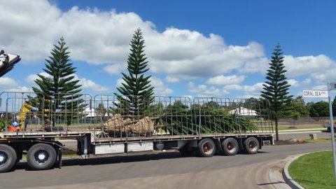 Care Transplanters - Suburb Australia 3